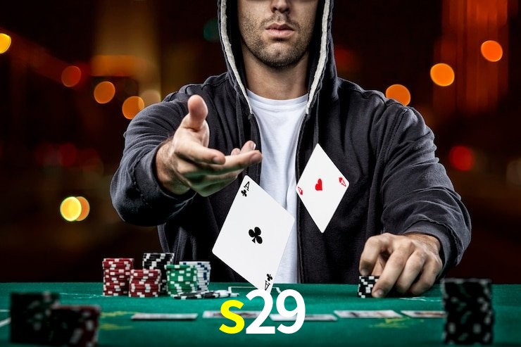 s29 App Interface
