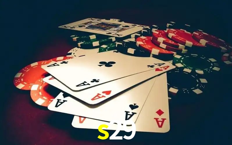 s29